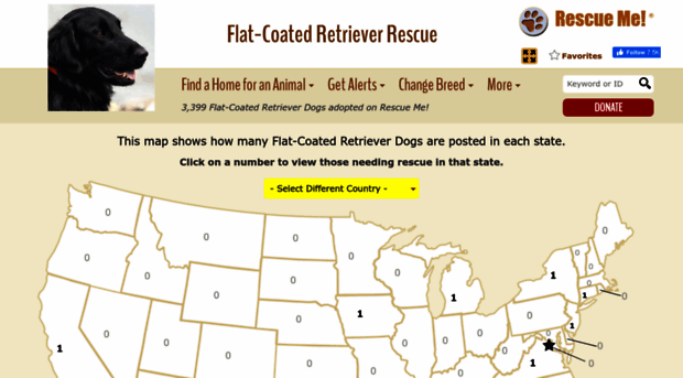 flatcoatedretriever.rescueme.org