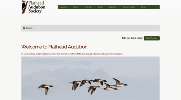 flatheadaudubon.org