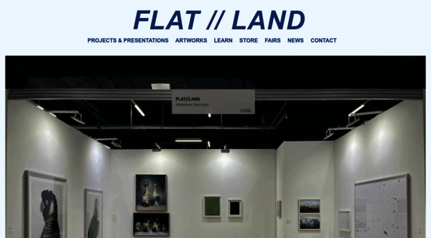 flatlandgallery.com