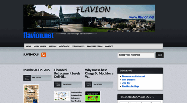 flavion.net
