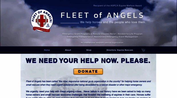 fleetofangels.org