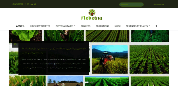 flehetna.com