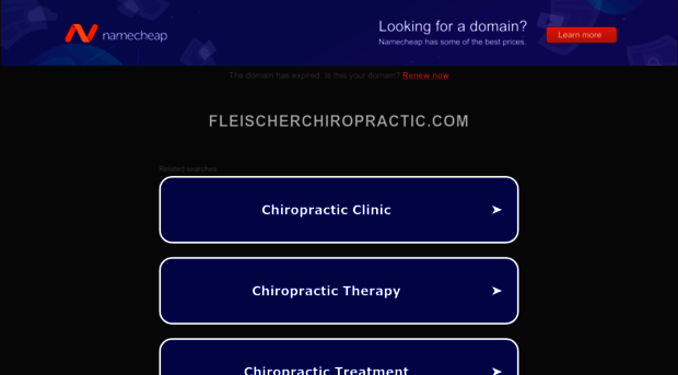 fleischerchiropractic.com