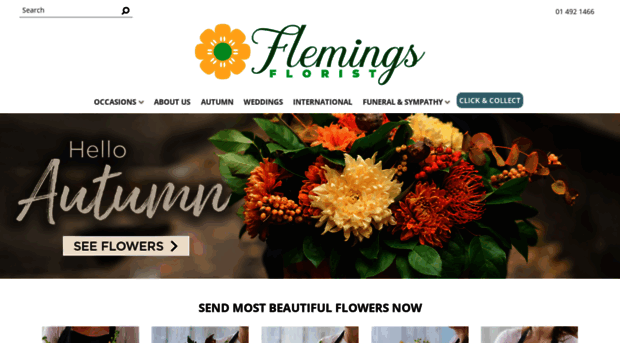 flemingsfloristsundrive.ie