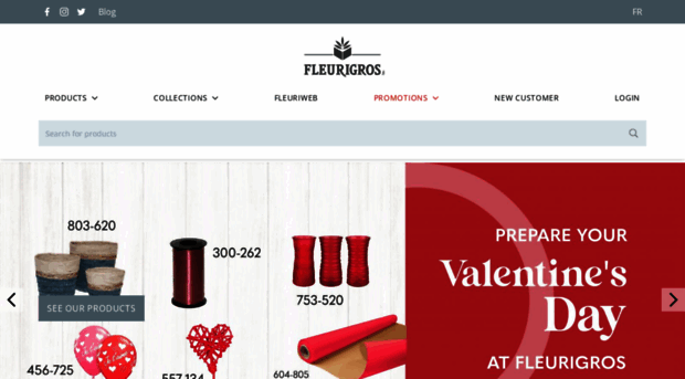 fleurigros.ca