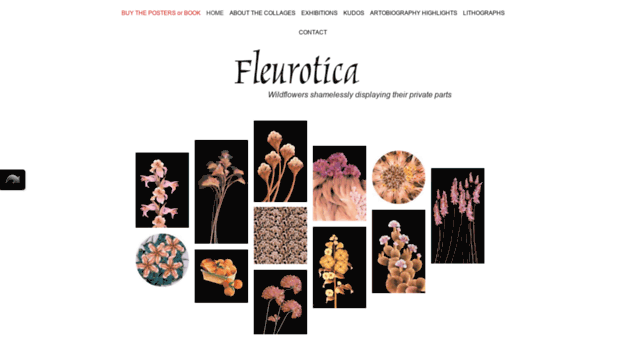 fleurotica.com