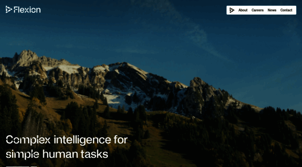 flexion.ai