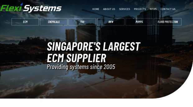 flexisystems.com.sg