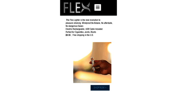 flexlighters.com