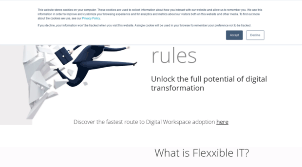 flexxibleit.com