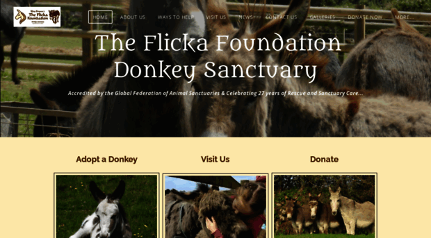 flickafoundation.org.uk