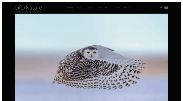 fliek.com