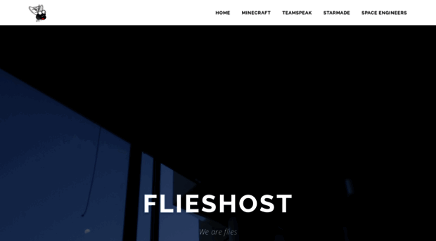 flieshost.com