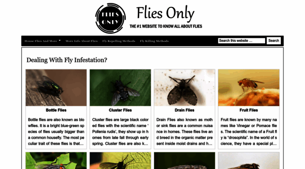 fliesonly.com