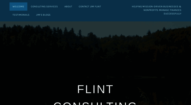 flintconsultingllc.com