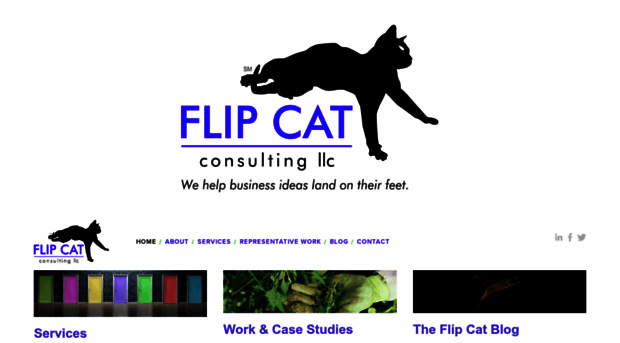 flipcatconsulting.com