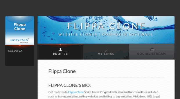 flippaclone.brandyourself.com