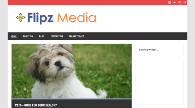 flipzmedia.com