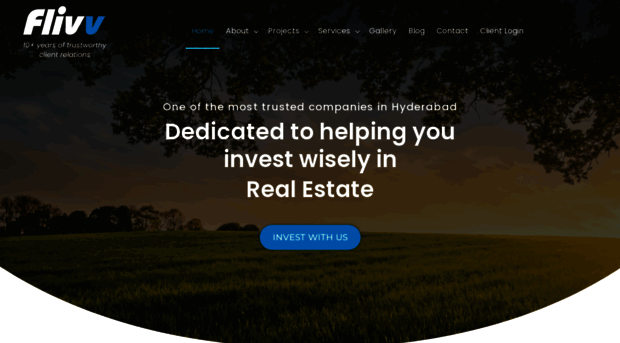 flivvrealty.com