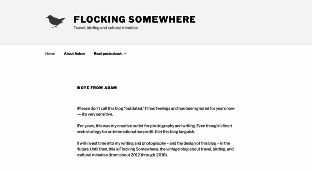 flockingsomewhere.com