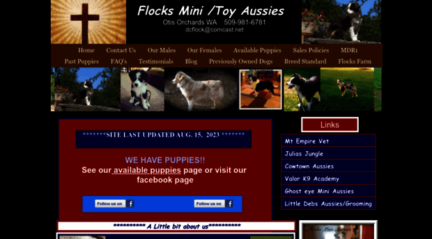 flocksminiaussies.com