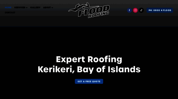 floodroofing.co.nz