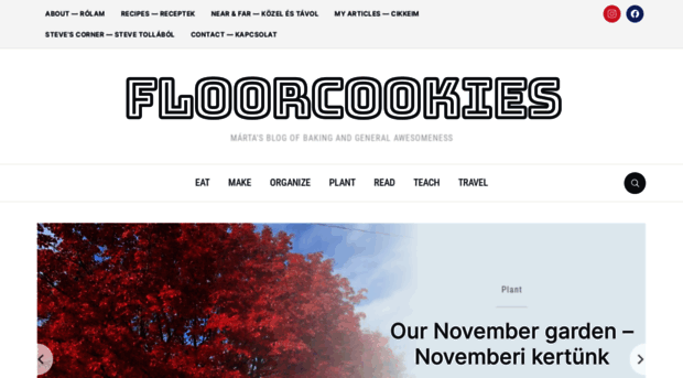 floorcookies.com