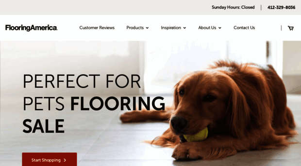 floordesignsflooringamerica.com