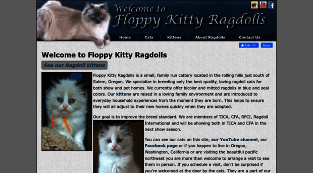 floppykitty.com