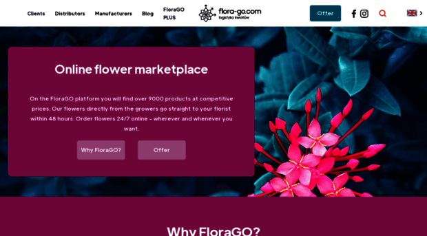 flora-go.com