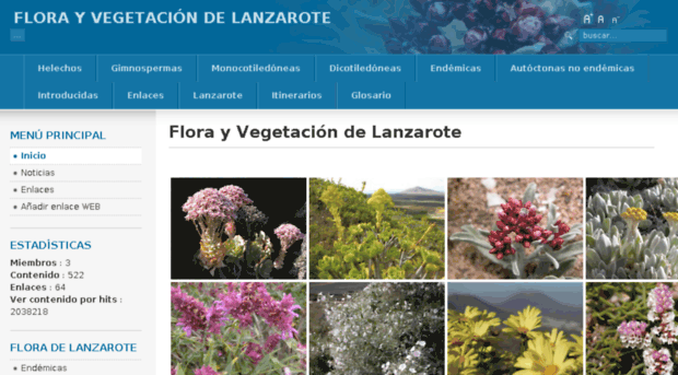 floralanzarote.com