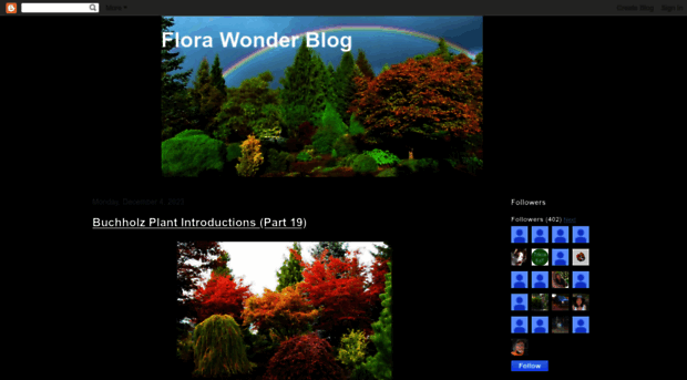 florawonder.blogspot.fr