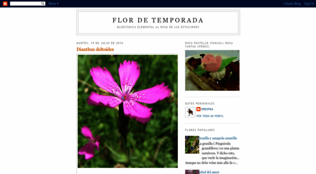 flordeltiempo.blogspot.com