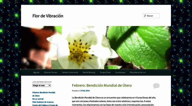 flordevibracion.wordpress.com