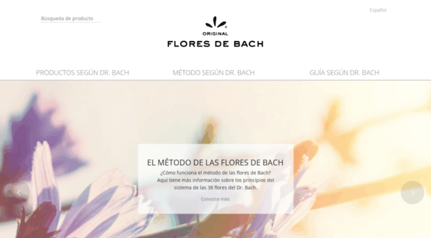 flores-bach.es