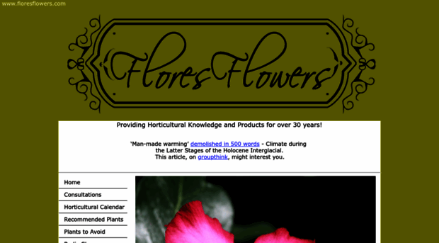 floresflowers.com