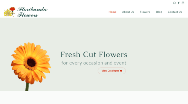 floribundaflowers.com