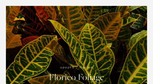 florico.com