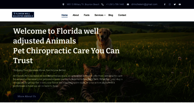 floridaanimalchiro.com