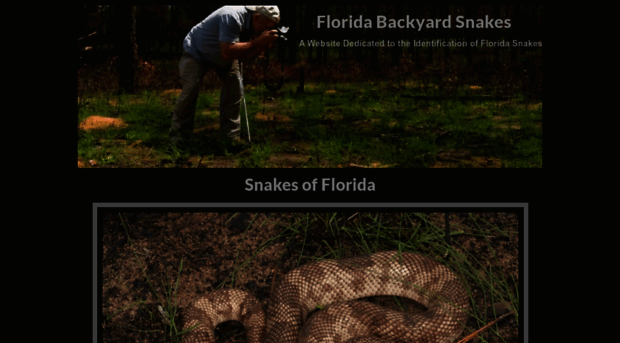 floridabackyardsnakes.com