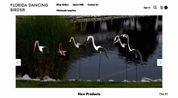 floridadancingbirds.com