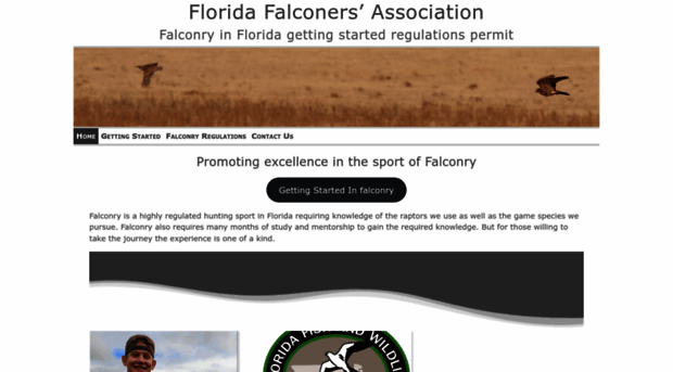 floridafalconry.com