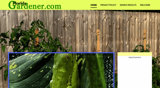 floridagardener.mystagingwebsite.com