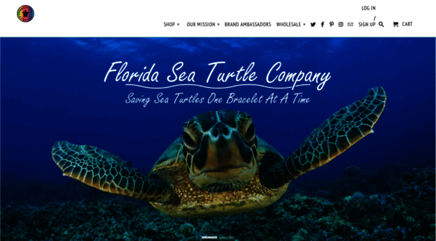 floridaseaturtlecompany.com