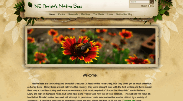 floridasnativebees.com