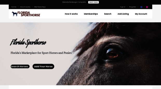 floridasporthorse.com