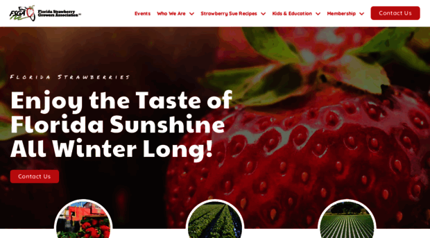 floridastrawberry.org