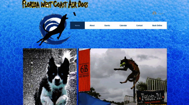 floridawestcoastairdogs.com