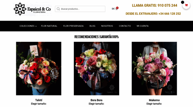 floristeriaespaicol.com