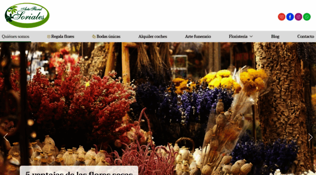 floristeriasoriales.com